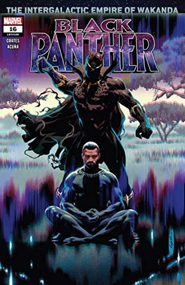 Cover Art for B07T81C7ZP, Black Panther (2018-) #16 by Ta-Nehisi Coates