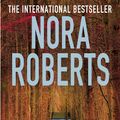 Cover Art for 9780749958619, Shadow Spell by Nora Roberts