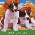 Cover Art for 9780340877074, Puppies in the Pantry by Lucy Daniels