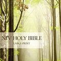 Cover Art for 9781563204449, NIV Holy Bible, Large Print by Zondervan