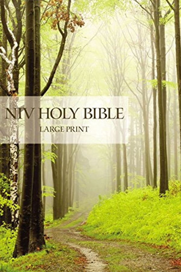 Cover Art for 9781563204449, NIV Holy Bible, Large Print by Zondervan