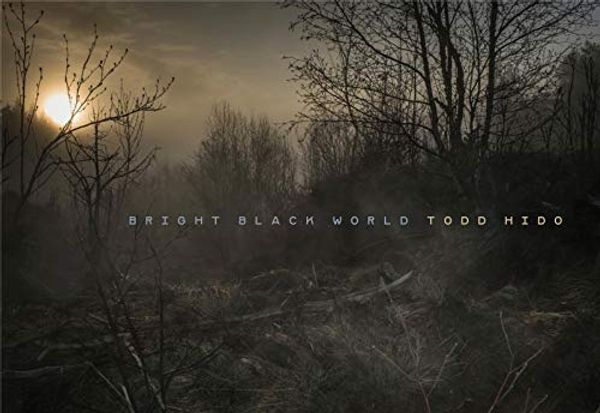 Cover Art for 9781590054758, Todd Hido Bright Black World /Anglais by Todd Hido