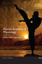 Cover Art for 9781292119120, Human Anatomy & Physiology by Elaine Marieb, Katja Hoehn, Pearson Education, Matt Hutchinson, Jon Mallatt, Patricia Wilhelm