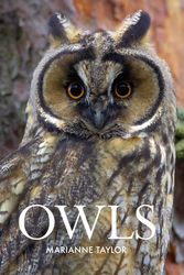 Cover Art for 9781408155530, Owls by Marianne Taylor