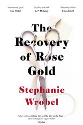 Cover Art for 9780241416082, The Recovery of Rose Gold by Stephanie Wrobel