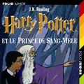 Cover Art for 9782070577644, Harry Potter, Tome 6 : Harry Potter et le Prince de Sang-Mêlé by Joanne Kathleen Rowling