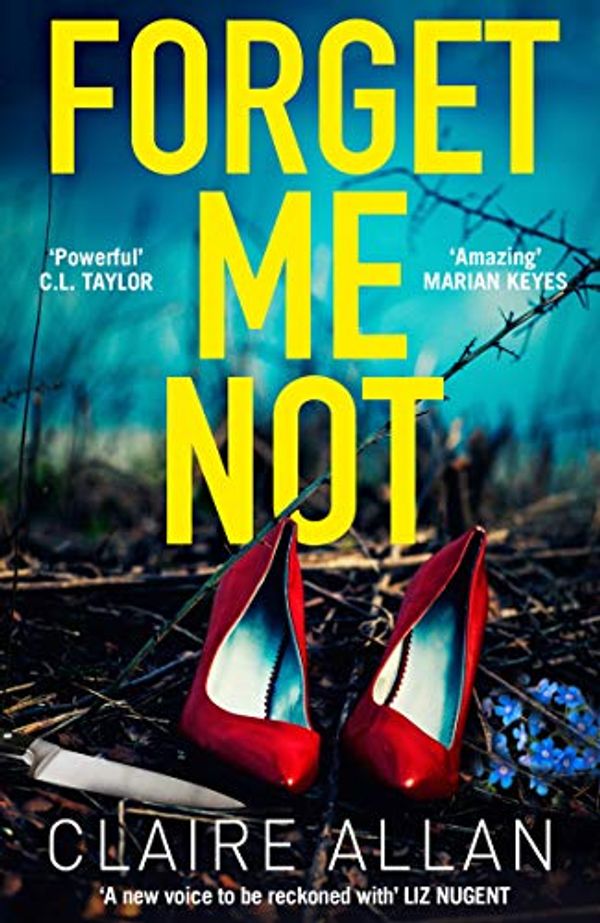 Cover Art for B07JPHN6DR, Forget Me Not: An unputdownable serial killer thriller with a breathtaking twist by Claire Allan