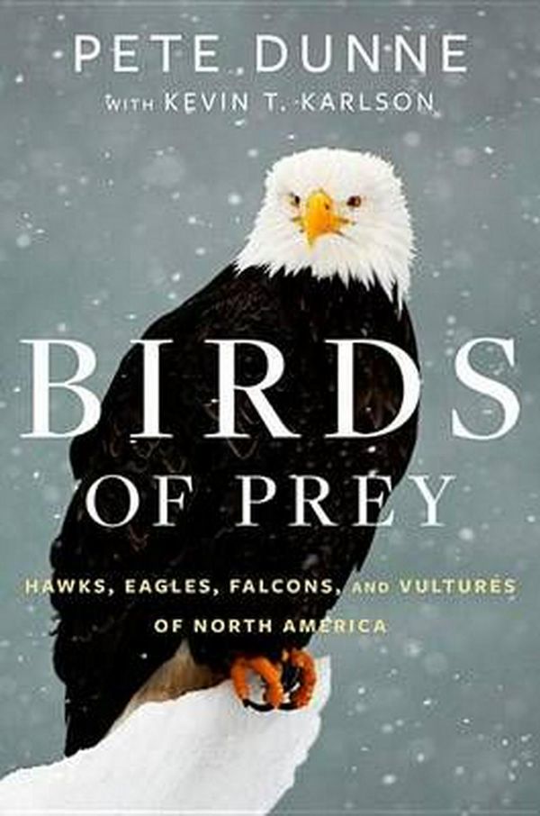 Cover Art for 9780544018440, Birds of PreyHawks, Eagles, Falcons, and Vultures of North A... by Dunne /. Carlson