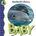 Cover Art for 9780824966140, Baby Dolphin by Julie D. Shively