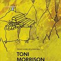 Cover Art for 9788497932622, La Cancion de Salomon by Toni Morrison