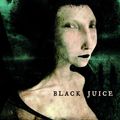 Cover Art for 9781741145014, Black Juice by Margo Lanagan