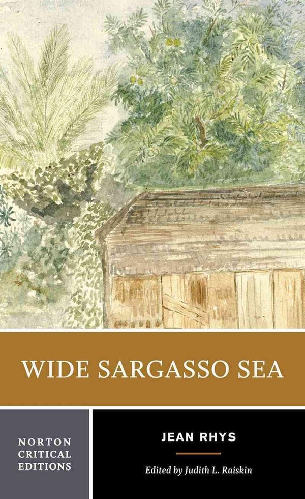 Cover Art for 9780393960129, Wide Sargasso Sea by Jean Rhys