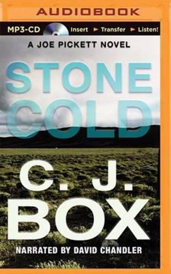 Cover Art for 9781501260483, Stone Cold by C. J. Box