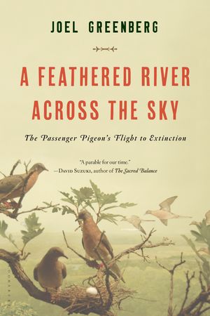 Cover Art for 9781620405369, A Feathered River Across the Sky by Joel Greenberg