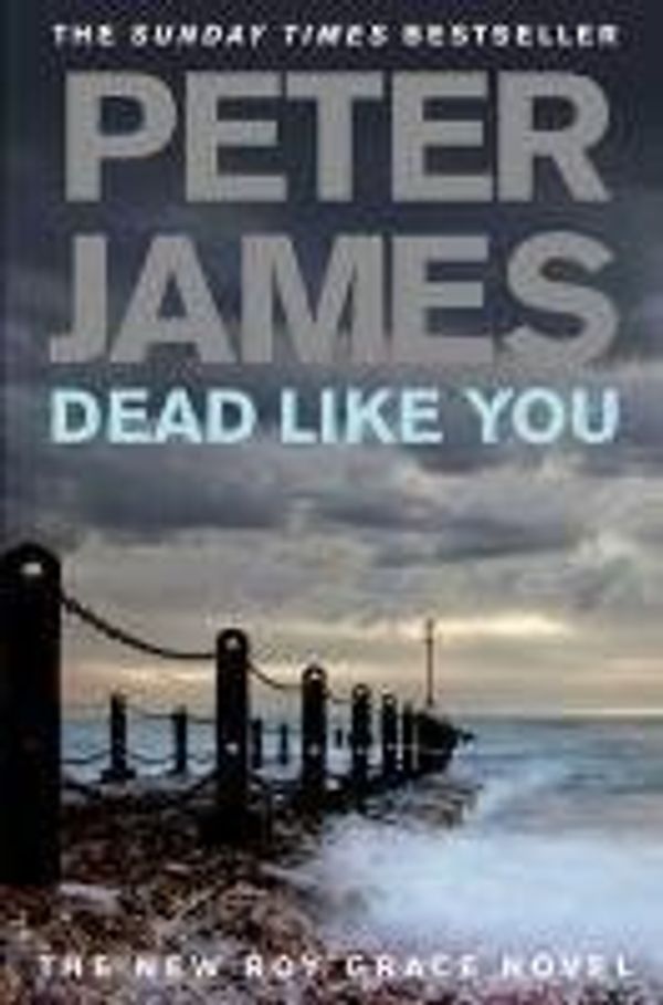 Cover Art for 9781407410074, Dead Like You by Peter James