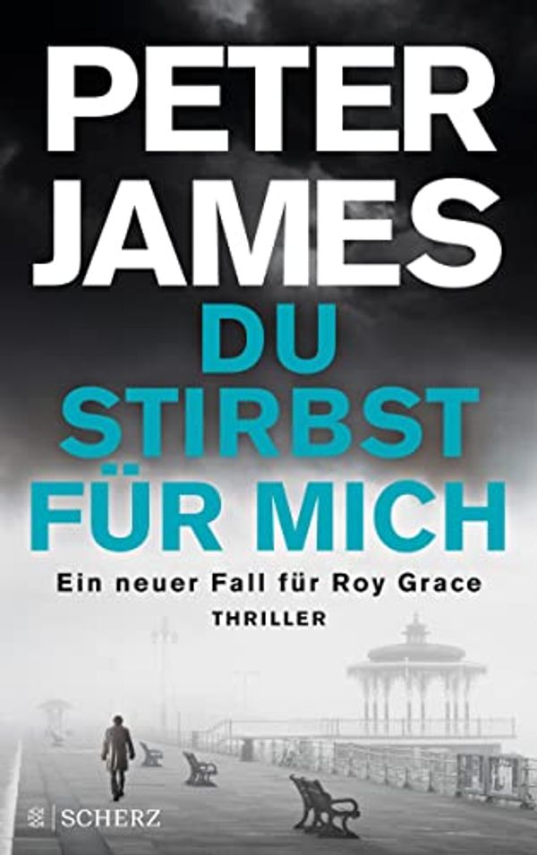 Cover Art for B08BXKCBPL, Du stirbst für mich: Der dreizehnte Fall für Roy Grace. Thriller (German Edition) by Peter James