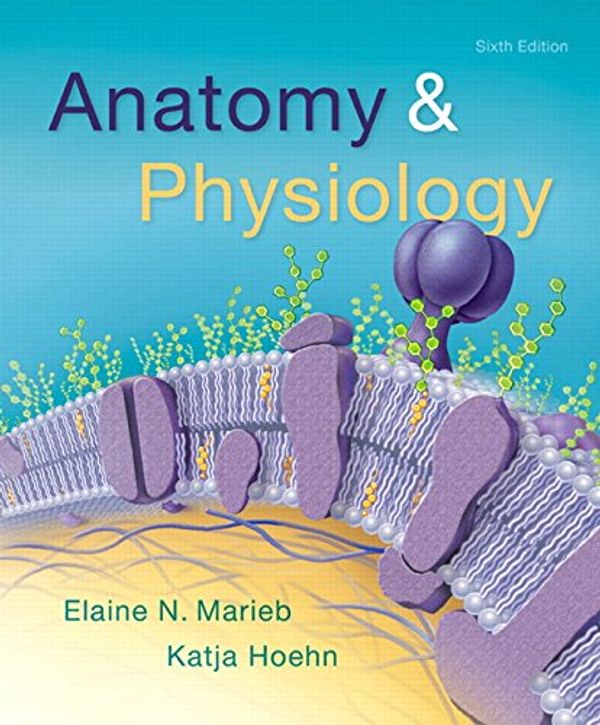 Cover Art for 9780134156415, Anatomy & Physiology by Elaine N. Marieb, Katja N. Hoehn