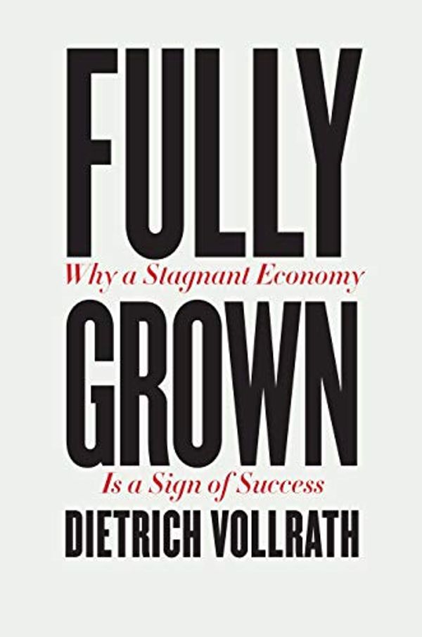 Cover Art for B07XWRCW33, Fully Grown: Why a Stagnant Economy Is a Sign of Success by Dietrich Vollrath