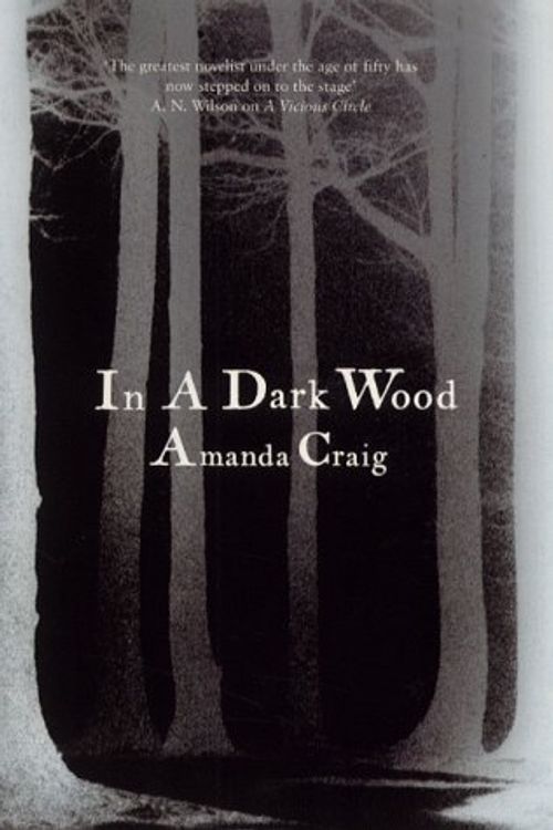 Cover Art for 9781857026825, In a Dark Wood by Amanda Craig