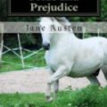 Cover Art for 9781499189506, Pride and Prejudice by Jane Austen