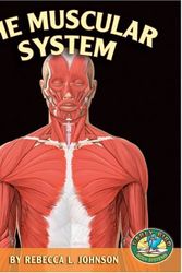 Cover Art for 9780822512486, The Muscular System by Rebecca L Johnson