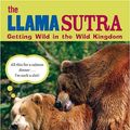 Cover Art for 9781592582570, The Llama Sutra by Ward Calhoun