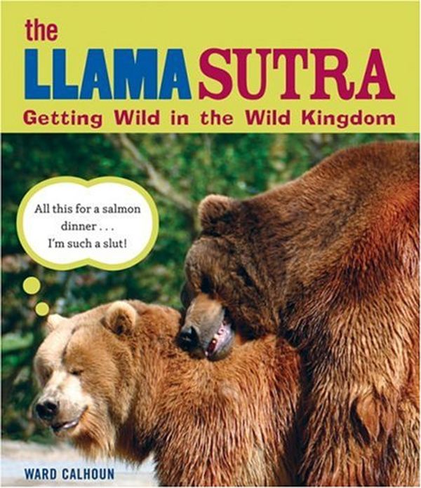 Cover Art for 9781592582570, The Llama Sutra by Ward Calhoun