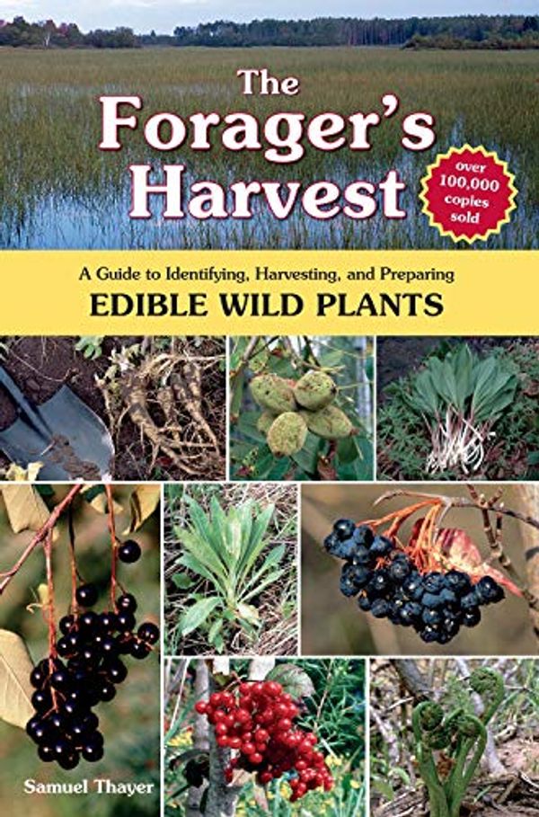 Cover Art for B08S46LKTB, The Forager's Harvest: A Guide to Identifying, Harvesting, and Preparing Edible Wild Plants by Samuel Thayer