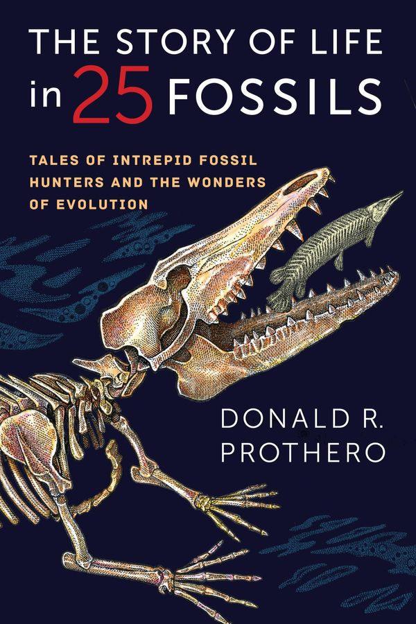 Cover Art for 9780231539425, The Story of Life in 25 Fossils: Tales of Intrepid Fossil Hunters and the Wonders of Evolution by Donald R. Prothero