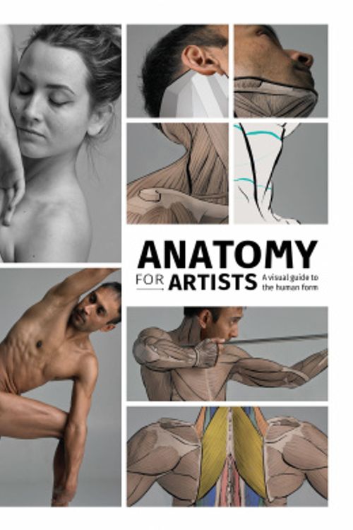 Cover Art for 9781912843107, Anatomy for Artists by 3dtotal Publishing