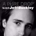 Cover Art for 0884811699550, A Pure Drop : The Life of Jeff Buckley by Jeff Apter