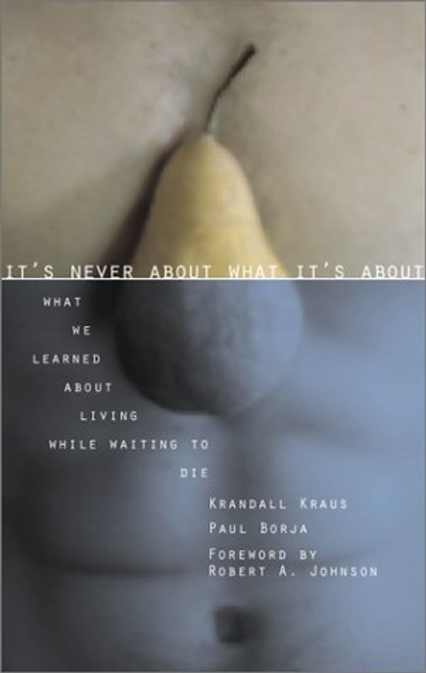 Cover Art for 9781555835712, It's Never About What it's About by Krandall Kraus