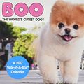 Cover Art for 9781682095324, Boo 2017 Calendar by ACCO Brands