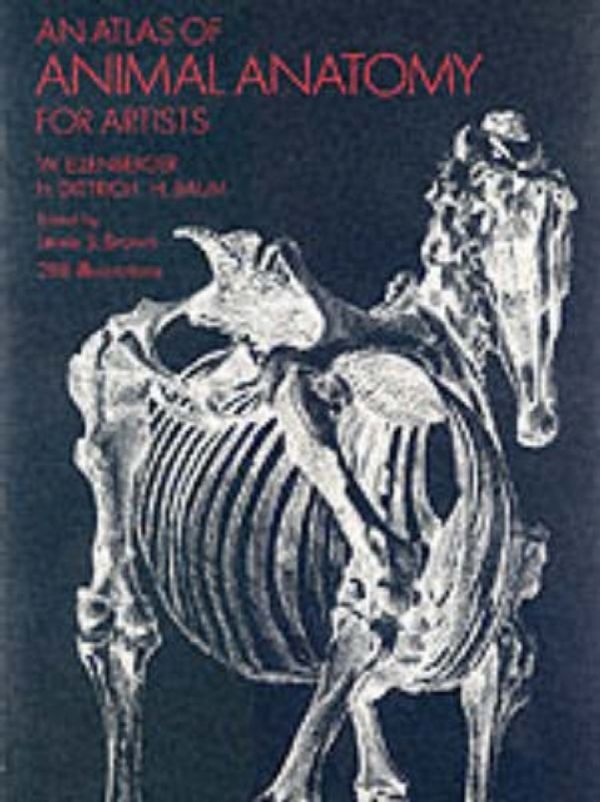 Cover Art for 9780486200828, An Atlas of Animal Anatomy for Artists by W. Ellenberger