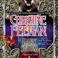 Cover Art for 9781611761252, Dark Storm by Christine Feehan
