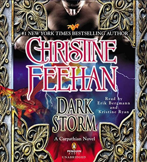 Cover Art for 9781611761252, Dark Storm by Christine Feehan