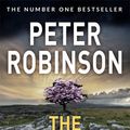 Cover Art for 9781509883981, The Hanging Valley by Peter Robinson