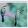 Cover Art for 9780648473039, Birds of Australia 2020 Wall Calendar by Steven Nowakowski