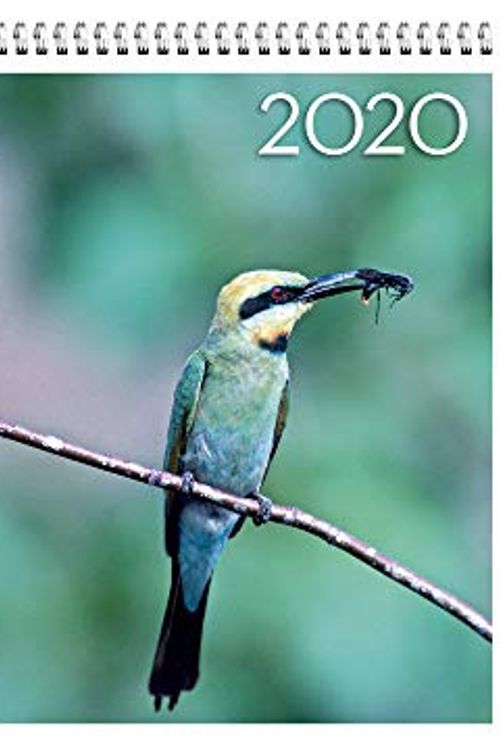 Cover Art for 9780648473039, Birds of Australia 2020 Wall Calendar by Steven Nowakowski