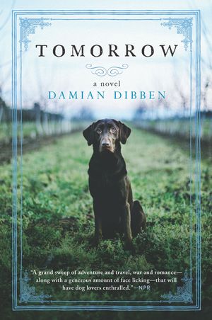 Cover Art for 9781335251008, Tomorrow by Damian Dibben