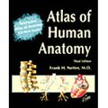 Cover Art for 9781929007158, Atlas of Human Anatomy: Combination Package by Frank H. Netter