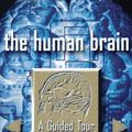 Cover Art for 9780465007257, The Human Brain: A Guided Tour (Science Masters Series) by Susan A. Greenfield