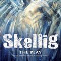 Cover Art for 9780340854334, Skellig by David Almond