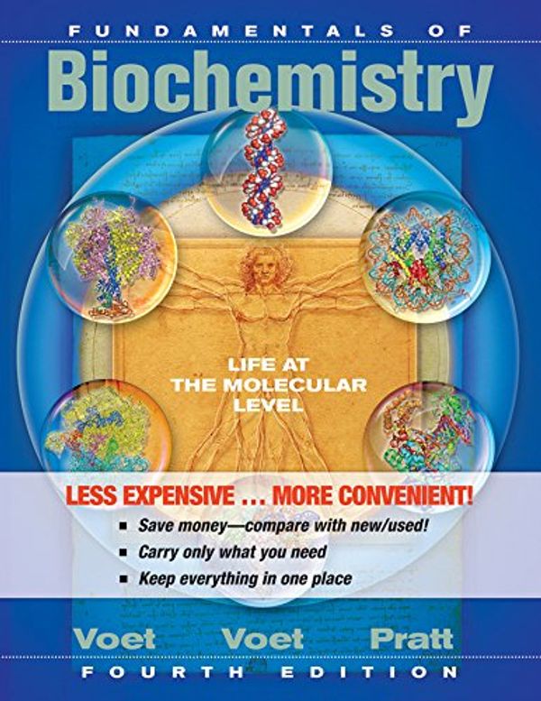 Cover Art for 9781118363942, Fundamentals of Biochemistry Life at the Molecularlevel 4E Binder Ready Version + WileyPlus Registration Card by Donald Voet