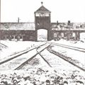 Cover Art for 9789026324536, Auschwitz by Laurence Rees