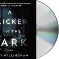 Cover Art for 9781250838841, A Flicker in the Dark by Stacy Willingham