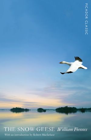 Cover Art for 9781447275442, Snow Geese by William Fiennes