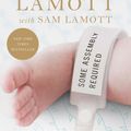 Cover Art for 9781594486678, Some Assembly Required by Anne Lamott