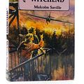 Cover Art for 9780863910371, Wings Over Witchend (A Lone Pine adventure) by Malcolm Saville