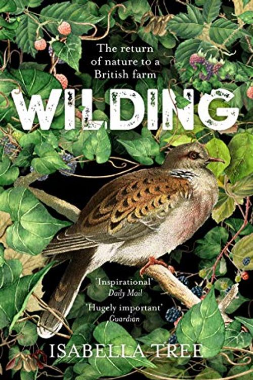 Cover Art for B07S8C68VV, Wilding: The Return of Nature to a British Farm [By Isabella Tree] - [Paperback] -Best sold book in-Habitats by Unknown